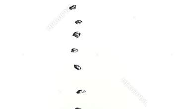 Bubbles moving to the surface in super slow motion