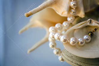 Pearl necklace and shells
