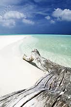 Tropical beach