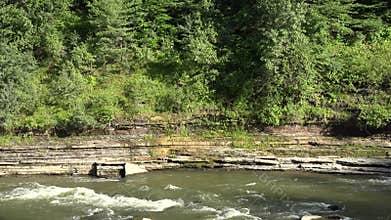 Forest River, Water, Stream, Nature