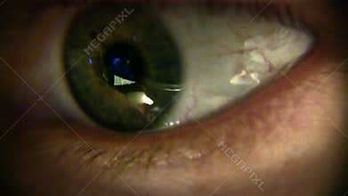 Macro Close-up Human Eye