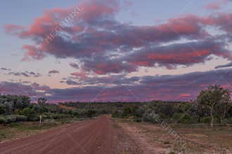 A dirt road disappears into dry bush under a sky of pink tinged clouds at sunset.