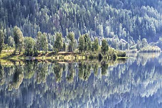 Hallingskarvet Forest Reflections col