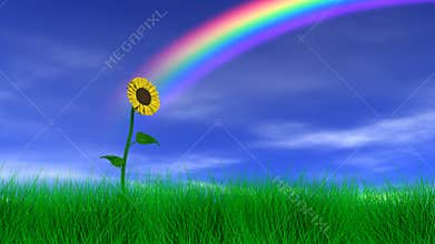 Sunflower Under a Rainbow