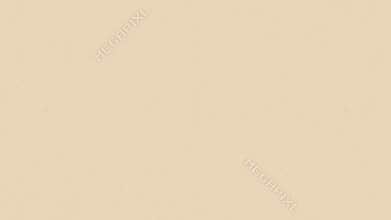 Plain Beige Background Video Loop for Presentations and Design Projects