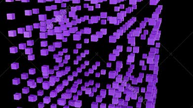 4K Alpha ProRes 4444 - Golden Elastic Fractal Snap Reconstruction
