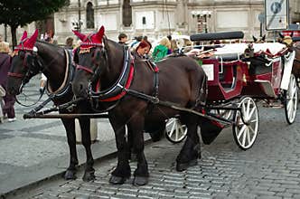 Horses and carriage in Prague