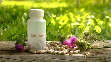 Milk thistle supplements in nature. Selective focus.