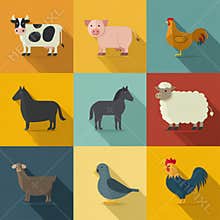 Farm Animals Arranged in a Grid Showing Cow, Pig, Chicken, Horse, Sheep, Goat, Duck, Rooster, and Donkey in Flat Design