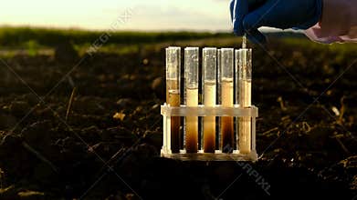 Field soil samples for analysis. Selective focus.