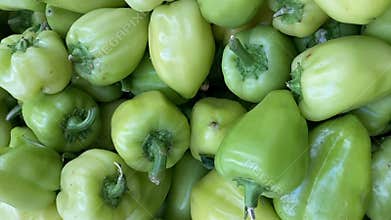 Green bell peppers piled together create a vibrant, fresh vegetable background