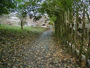 Stone steps covered with autumn leaves in a forest path