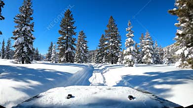 Driving an off Road Vehicle Through Snowy Trails of the Rocky Mountains