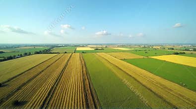 Aerial View of Farmland with Varied Crops