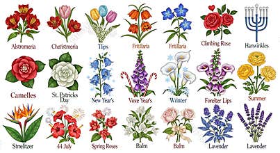 Seasonal flowers and holiday themed bouquets collection isolated on white background