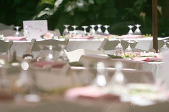 Table Decoration