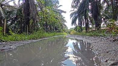 stagnant pool of rainwater along the diminishing perspective rural pathway into the rural countryside