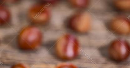 a hard edible chestnut fruit in a brown shell on a