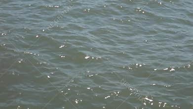 River Waters