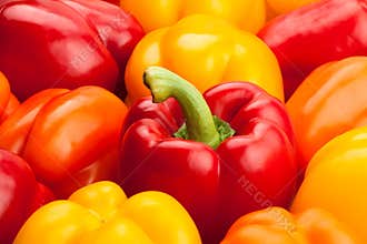 Bell peppers