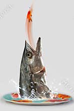 Fish Jumping.