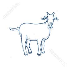 Goat