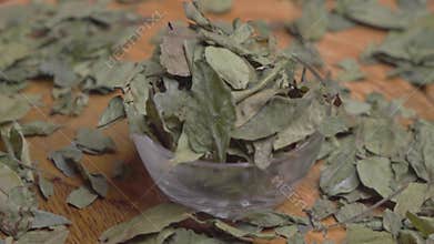 Rotating Shot of Curry Leaves (Kadi Patta)