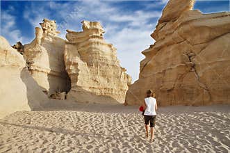 Calcareous rocks