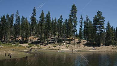 Lake with pine forest and kayak on the shore