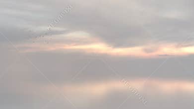 Flying bird with transparent passage