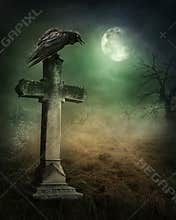 Crow on a grave