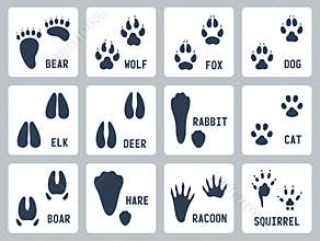 Animal tracks vector icons