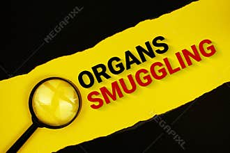 Organs Smuggling text on yellow with black paper torn ripped and magnifying glass
