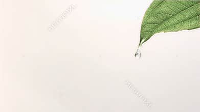 Drops of water in super slow motion flowing