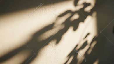 Close-up of moving plant leaf shadows cast on a textured wall by warm golden hour sunlight
