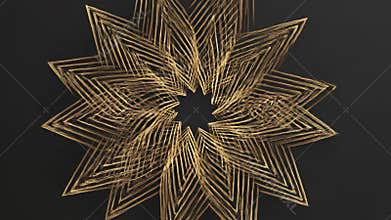 Golden Starburst