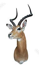 Impala mount