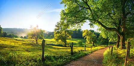 Rural landscape in late summer