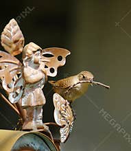 House Wren with Stick by Garden Fairy