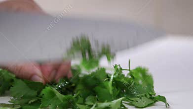 Video close up preparing fresh organic coriander/cilantro.