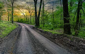 Rural Dirt Road at Sunset