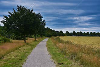 Idyllic route for walking alone through the fields