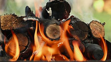 Close-up of firewood in flame