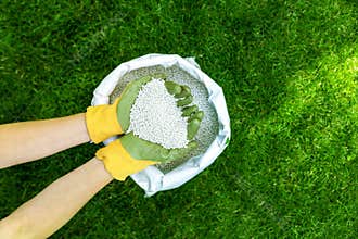 Feeding lawn with granular fertilizer for perfect green grass
