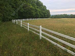 White Picket Fence Over Barley Field