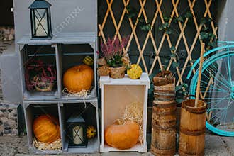 Pumpkins and autumn flowers on wooden boxes, rustic modern decor of city street in fall. Happy Thanksgiving and Halloween.