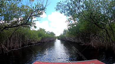 Airboat in Everglades