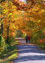 An Autumn Stroll
