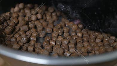 Dog German shepherd eats from a bowl in the house. Delicious pet food. Animal care