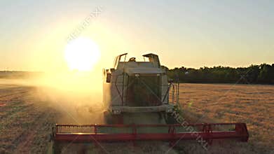 Aerial view of wheat harvest. Drone shot flying over three combine harvesters working on wheat field, 4Ðº